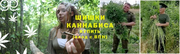 стафф Нязепетровск