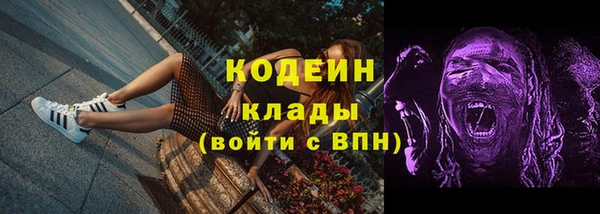 дурь Няндома