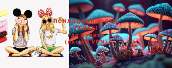 дурь Няндома