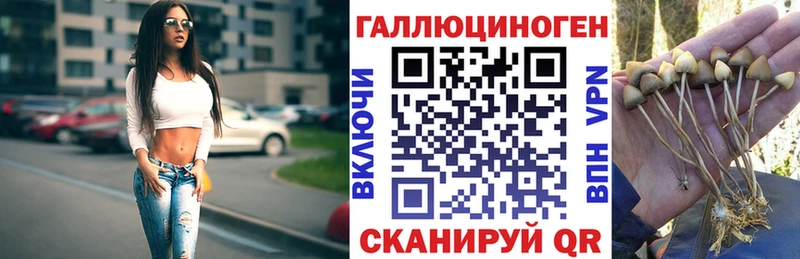 ссылка на мегу зеркало  купить   Абинск  Галлюциногенные грибы Psilocybe 